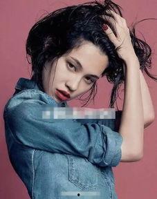 欧美成人AV兰视频,揭秘激情背后的故事与影响