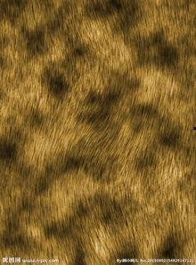 成人毛皮视频,揭秘毛皮动物世界中的激情与奥秘