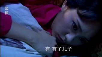 成人潘金莲视频,欲望与道德的冲突