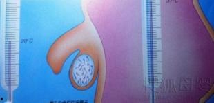 外国成人性教育课视频,真实性与启示