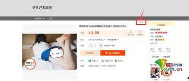 视频成人特级网站