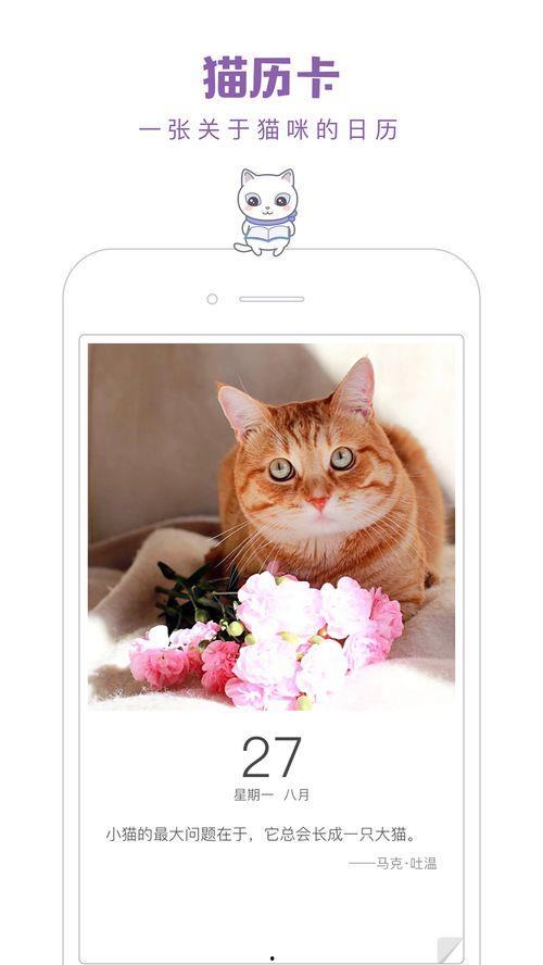 成人猫咪App视频下载