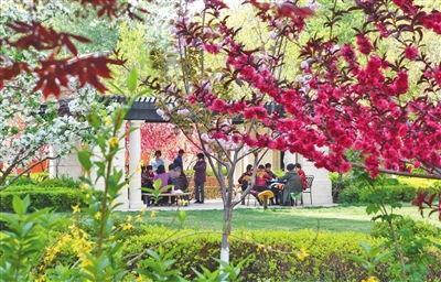 成人荔枝视频下载,轻松下载成人内容