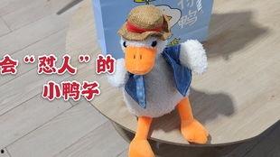 鸭子变成人讲话视频,视频揭秘神奇变身之谜