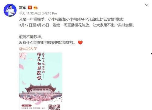 樱花视频成人app
