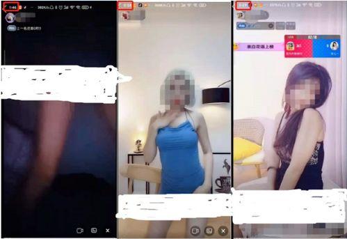 成人羞羞视频无遮拦,揭秘私密世界中的真实情感与欲望